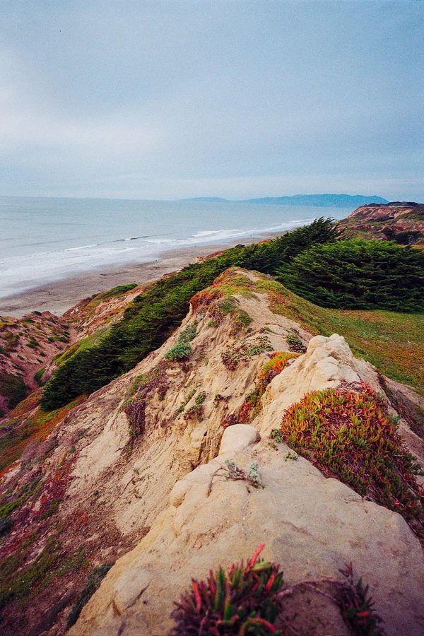 Film 1 photo