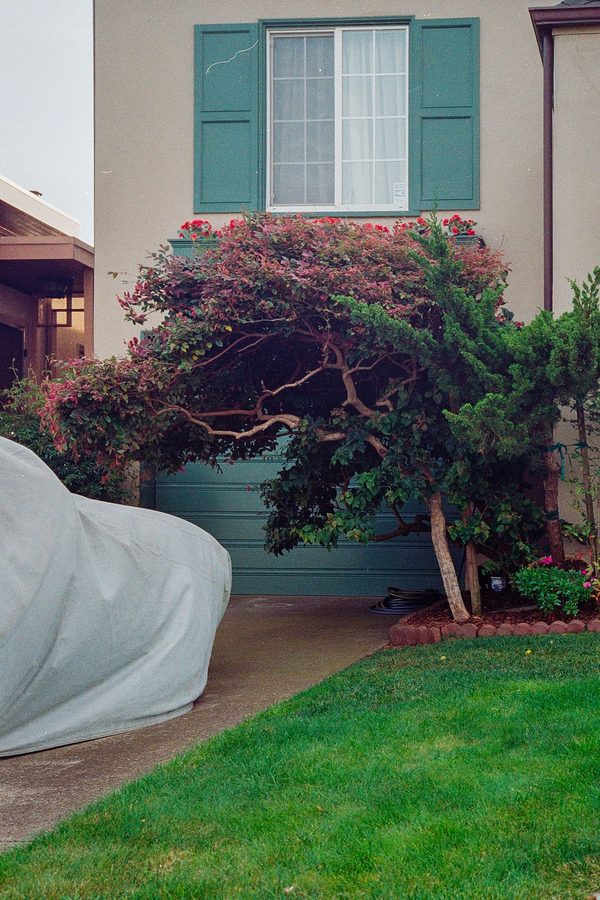 Film 1 photo