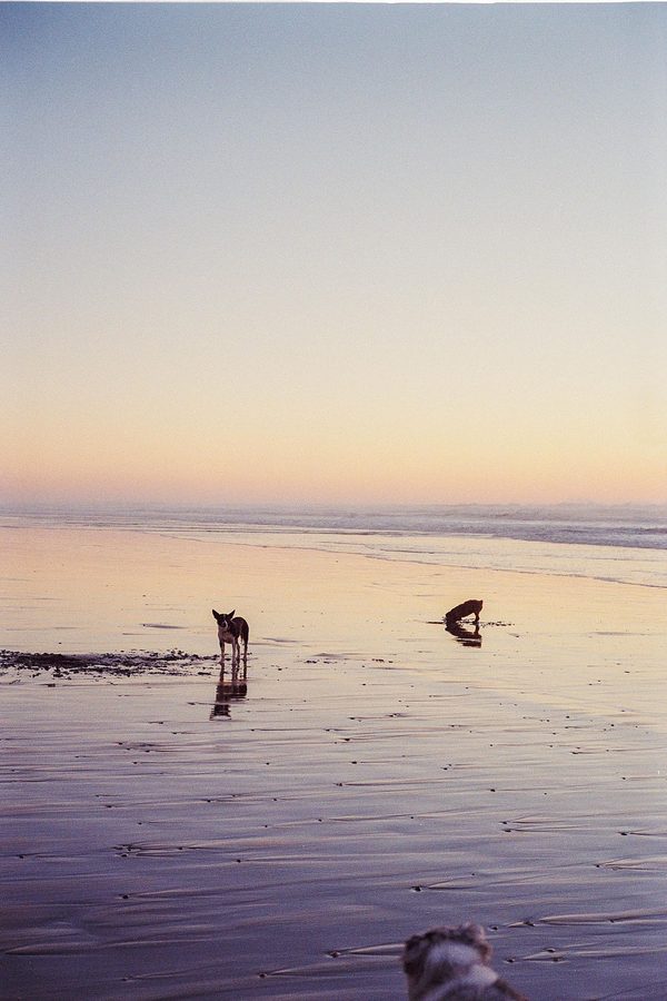 Photo 51