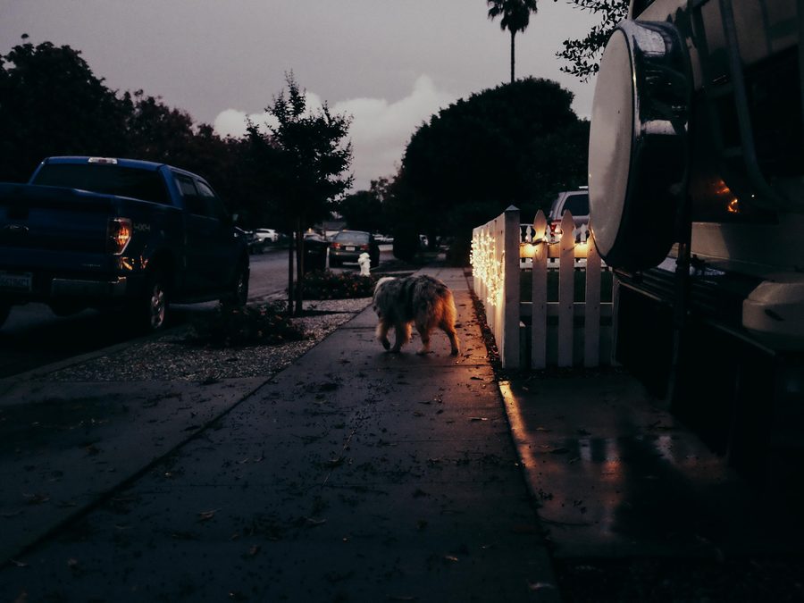 Photo 41
